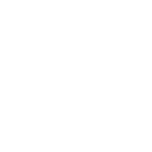 ICF Level 1 Logo White Without Background