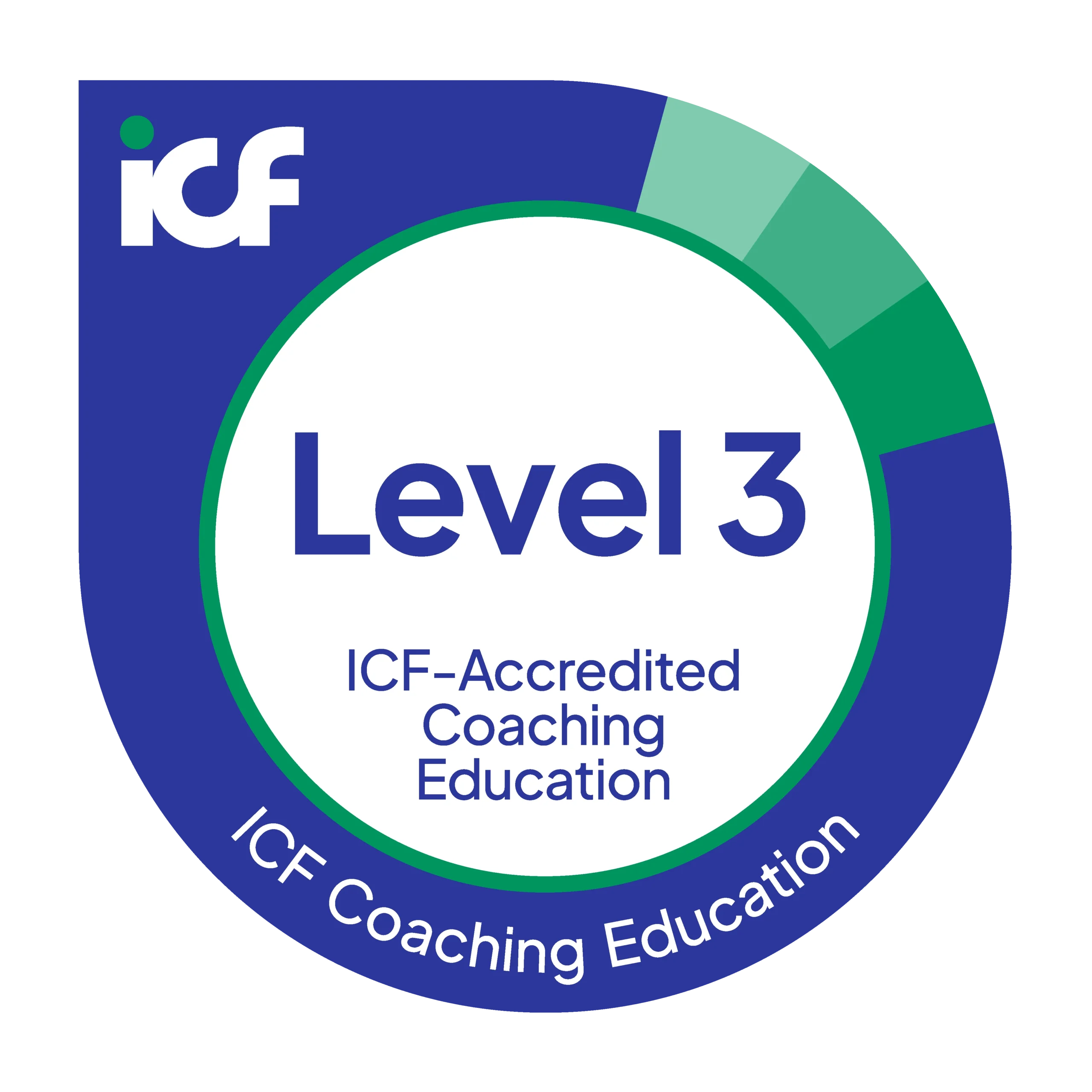 Level 3